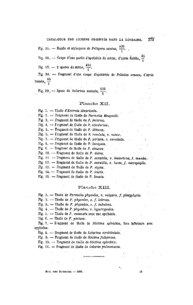 Fichier:ALS 1896 14 31.pdf