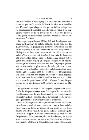 Fichier:ALS 1896 14 31.pdf
