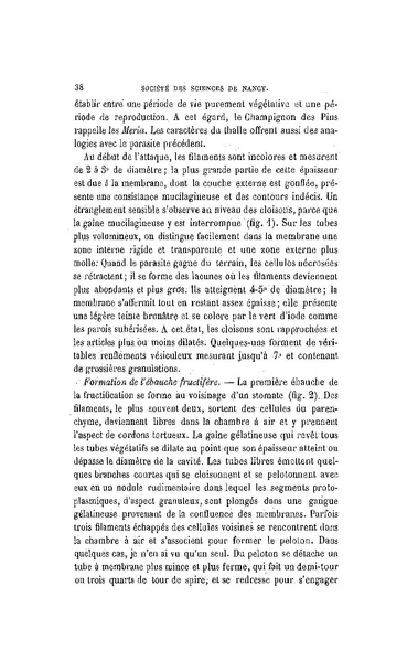 Fichier:ALS 1896 14 31.pdf
