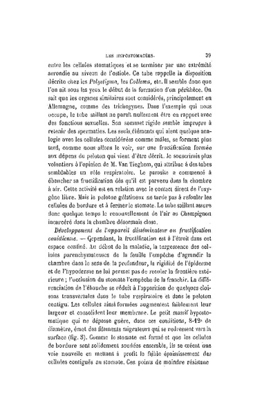 Fichier:ALS 1896 14 31.pdf