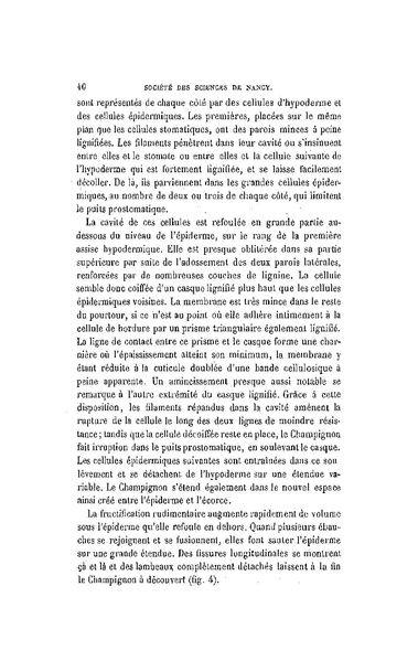 Fichier:ALS 1896 14 31.pdf