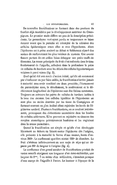 Fichier:ALS 1896 14 31.pdf