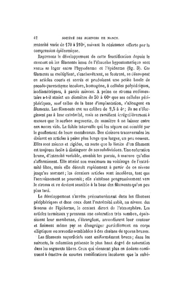 Fichier:ALS 1896 14 31.pdf