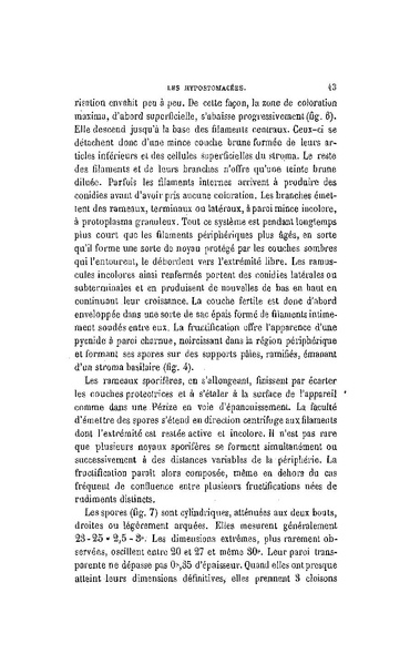 Fichier:ALS 1896 14 31.pdf