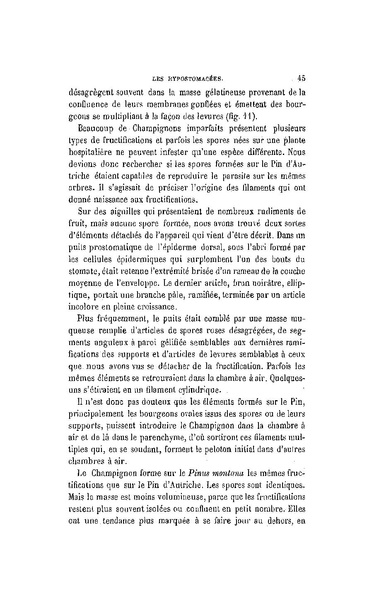 Fichier:ALS 1896 14 31.pdf
