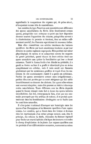 Fichier:ALS 1896 14 31.pdf