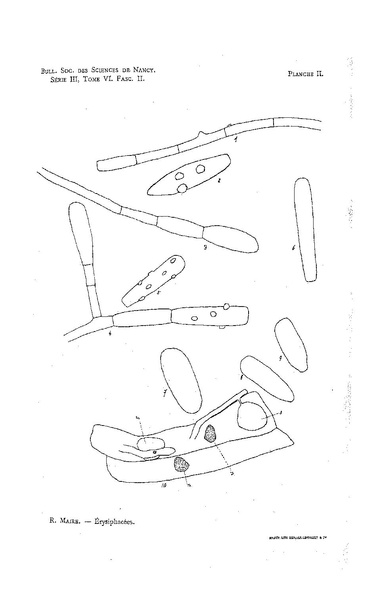 Fichier:ALS 1905 6.pdf
