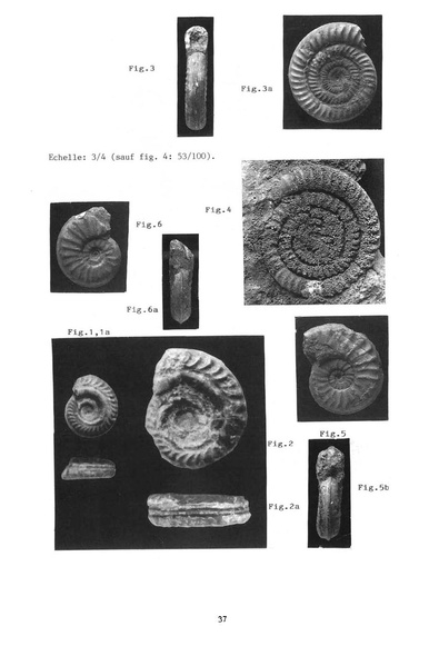 Fichier:ALS 1994 33 1.pdf