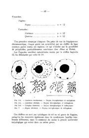 page suivante →