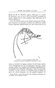 page suivante →