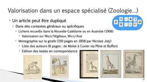 HIS 9 intro images.012.jpeg