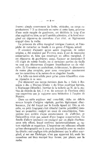 Fichier:ALS 1954 1-4.pdf