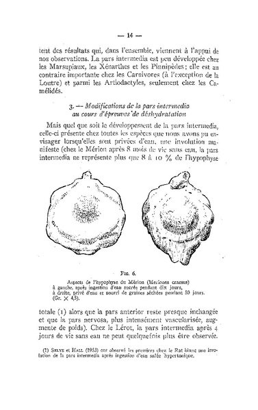 Fichier:ALS 1961 4.pdf