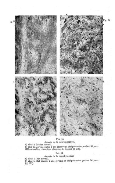 Fichier:ALS 1961 4.pdf