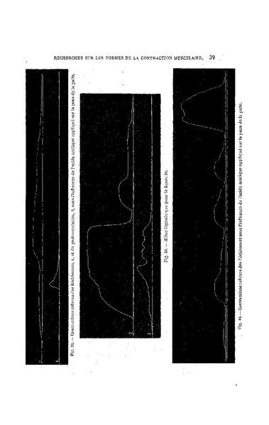 Fichier:ALS 1885 7 18.pdf