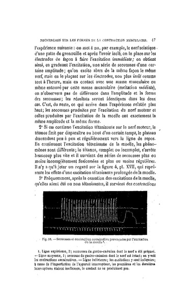 Fichier:ALS 1885 7 18.pdf