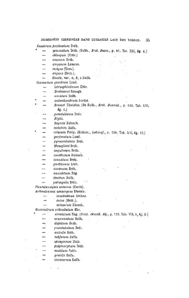 Fichier:ALS 1889 10 23.pdf