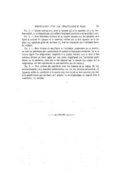 page suivante →