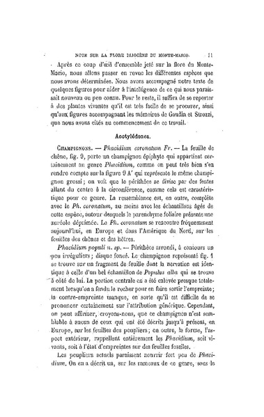 Fichier:ALS 1886 8 20.pdf