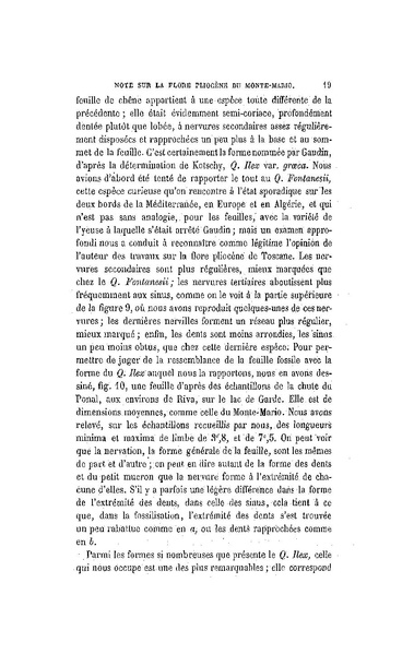 Fichier:ALS 1886 8 20.pdf