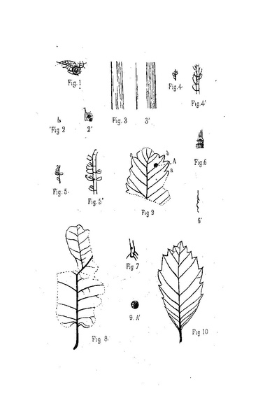 Fichier:ALS 1886 8 20.pdf