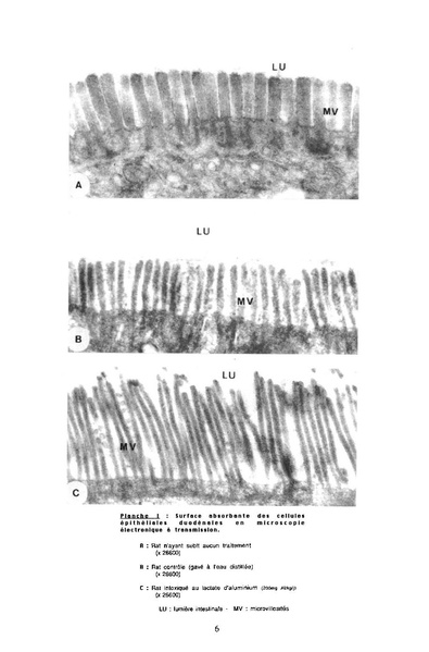 Fichier:ALS 1993 32 1.pdf