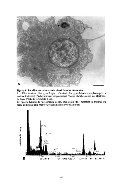 Fichier:ALS 1996 35 1.pdf