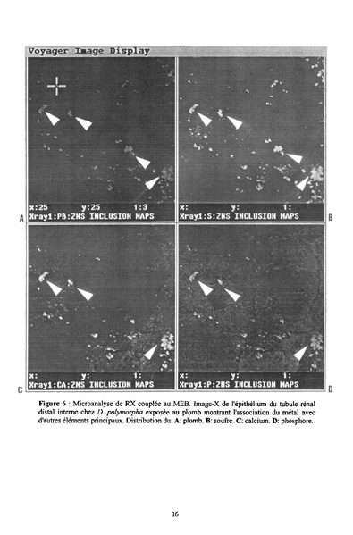Fichier:ALS 1996 35 1.pdf