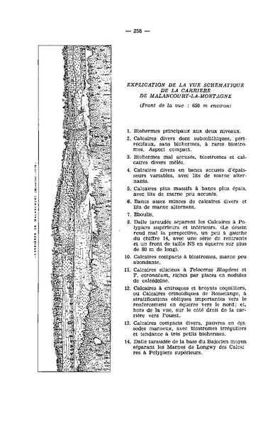 Fichier:ALS 1972 11 4.pdf