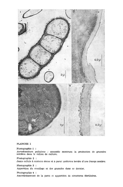 Fichier:ALS 1972 11 4.pdf