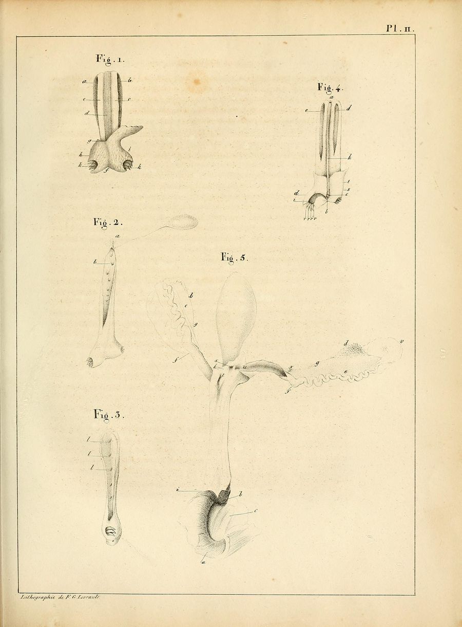 ALS Mémoires 1830 page 271.jpg