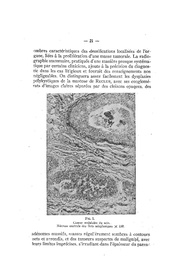 page suivante →