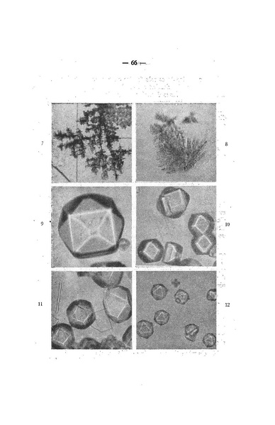Fichier:ALS 1962 3.pdf