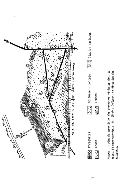 Fichier:ALS 1989 28 3.pdf