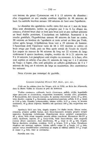 Fichier:ALS 1967 6-3 189.pdf