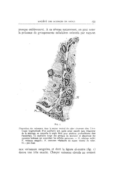 Fichier:ALS 1936 10.pdf