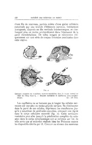 page suivante →