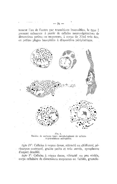 Fichier:ALS 1956 2.pdf