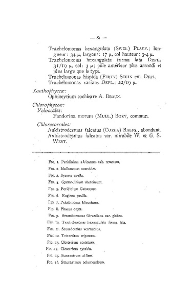 Fichier:ALS 1956 2.pdf