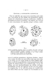 page suivante →