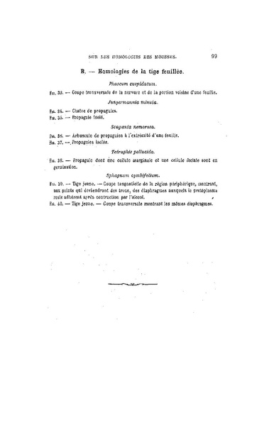 Fichier:ALS 1886 8 19.pdf