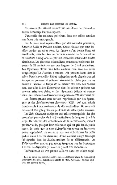 Fichier:ALS 1886 8 19.pdf