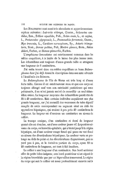 Fichier:ALS 1886 8 19.pdf
