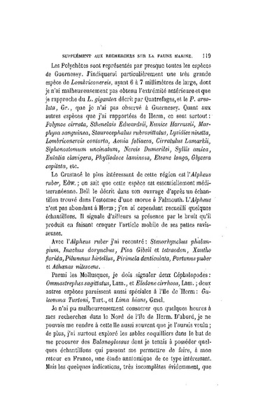 Fichier:ALS 1886 8 19.pdf