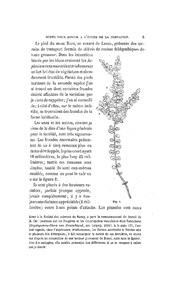 page suivante →