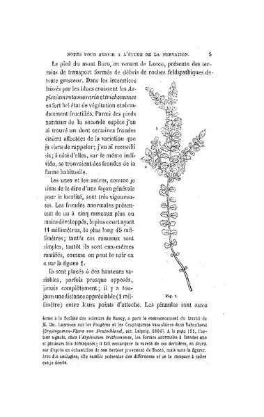 Fichier:ALS 1886 8 19.pdf