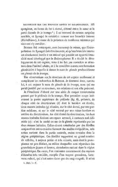 Fichier:ALS 1886 8 19.pdf