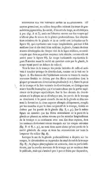 Fichier:ALS 1886 8 19.pdf