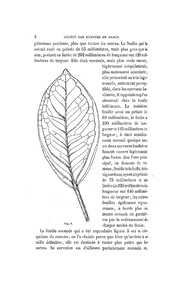 page suivante →