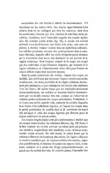 Fichier:ALS 1886 8 19.pdf